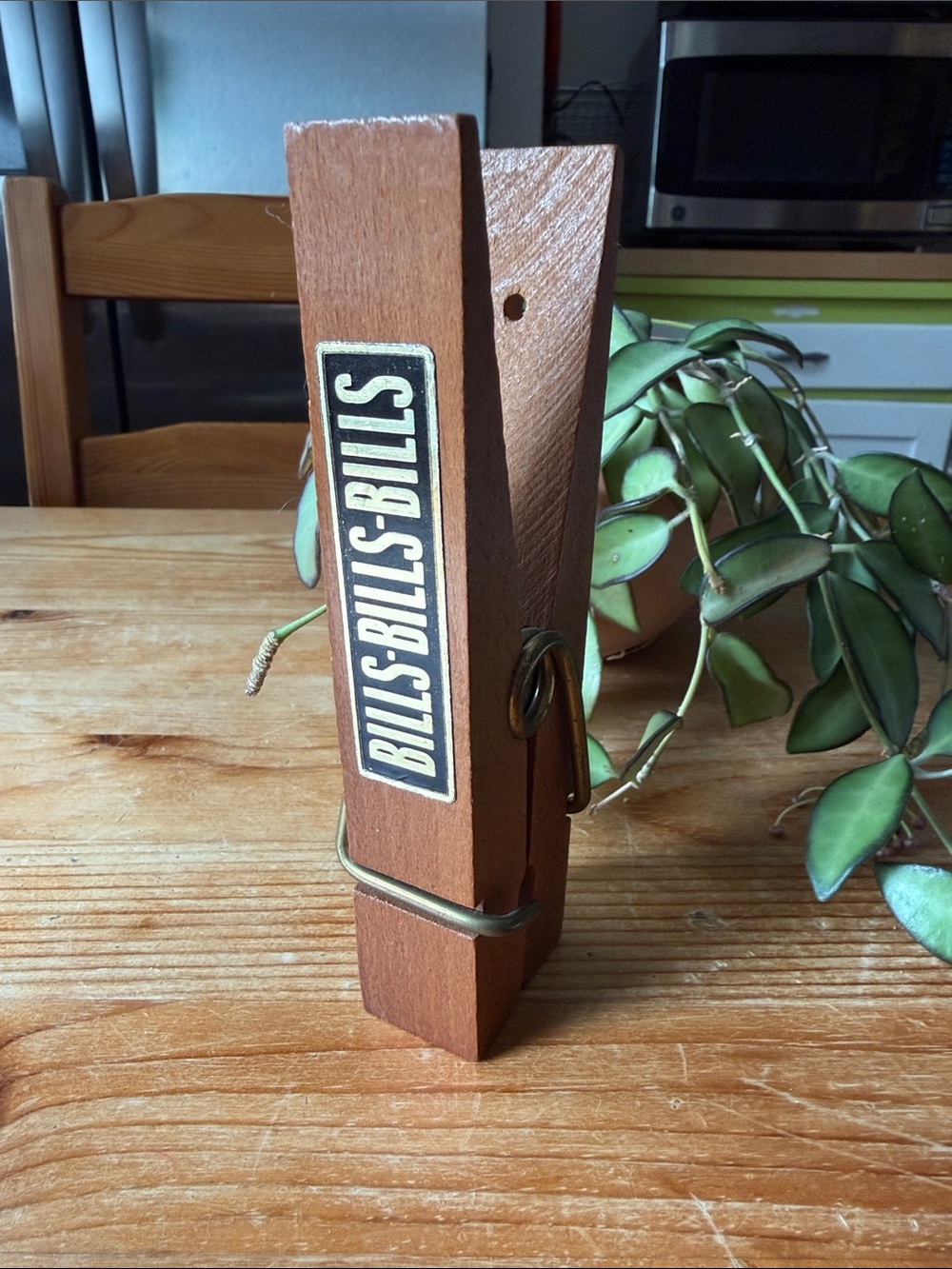 Vintage “Bills” Clothes Pin Holder